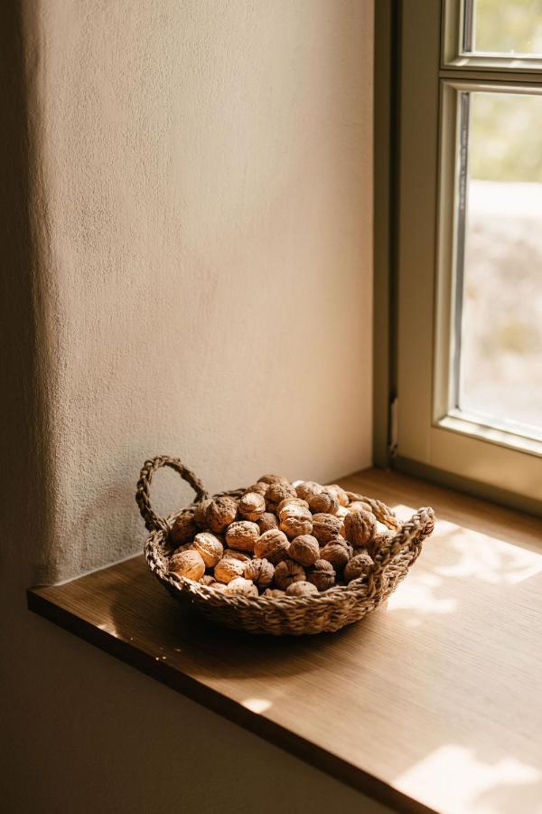 Grad Stanjel House Bed & Breakfast Eksteriør bilde